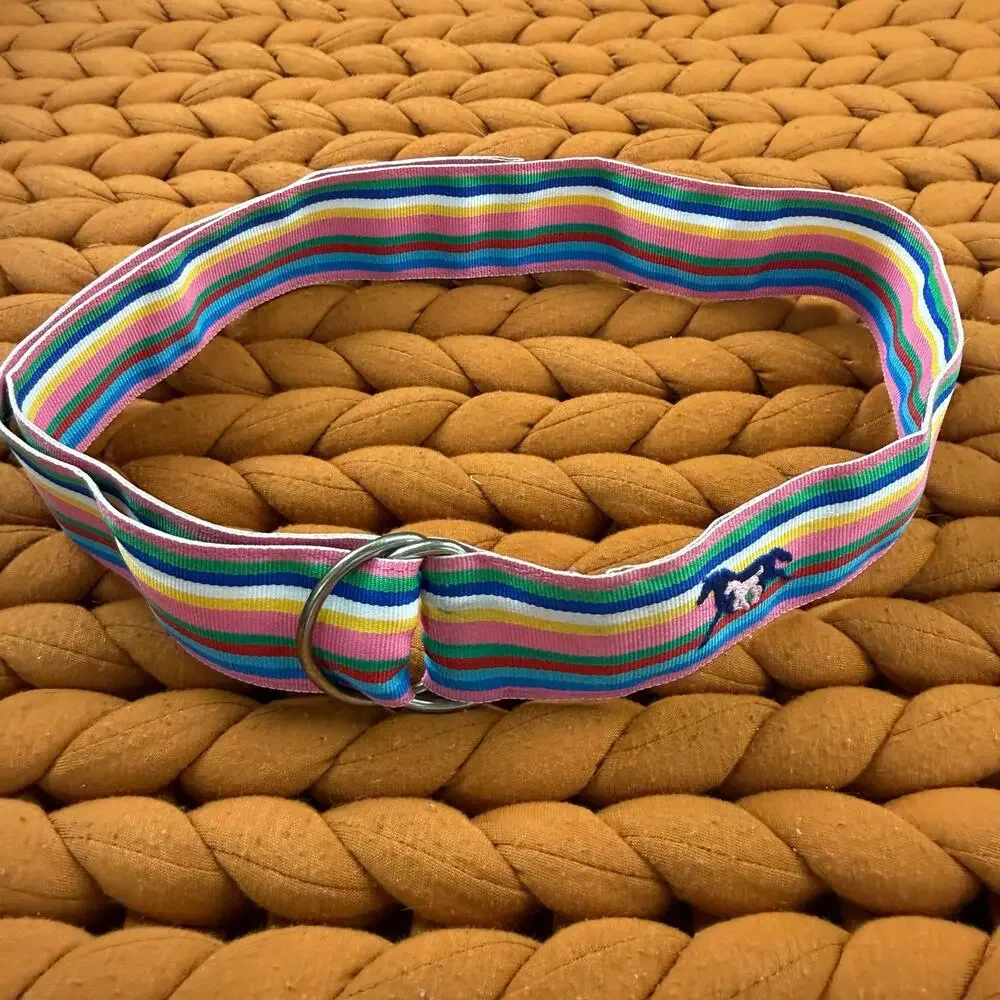 EQ Equestrian Horse Riding Rainbow Stripe Grosgrain Ribbon Belt M Medium Girls